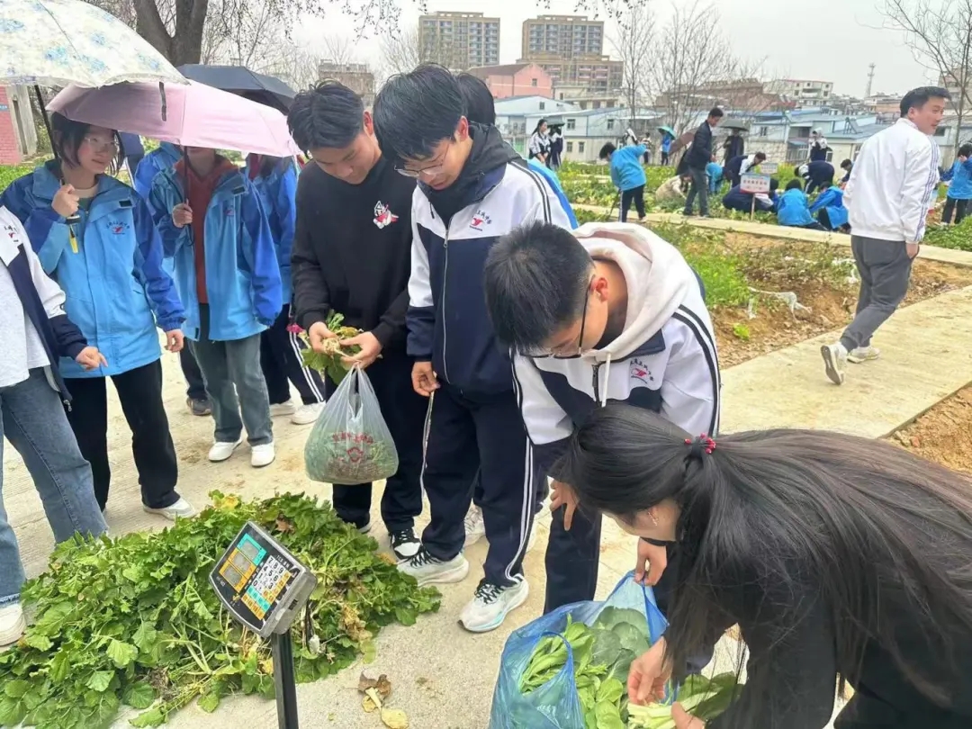 1712887480187652.jpg 640.webp (6).jpg
