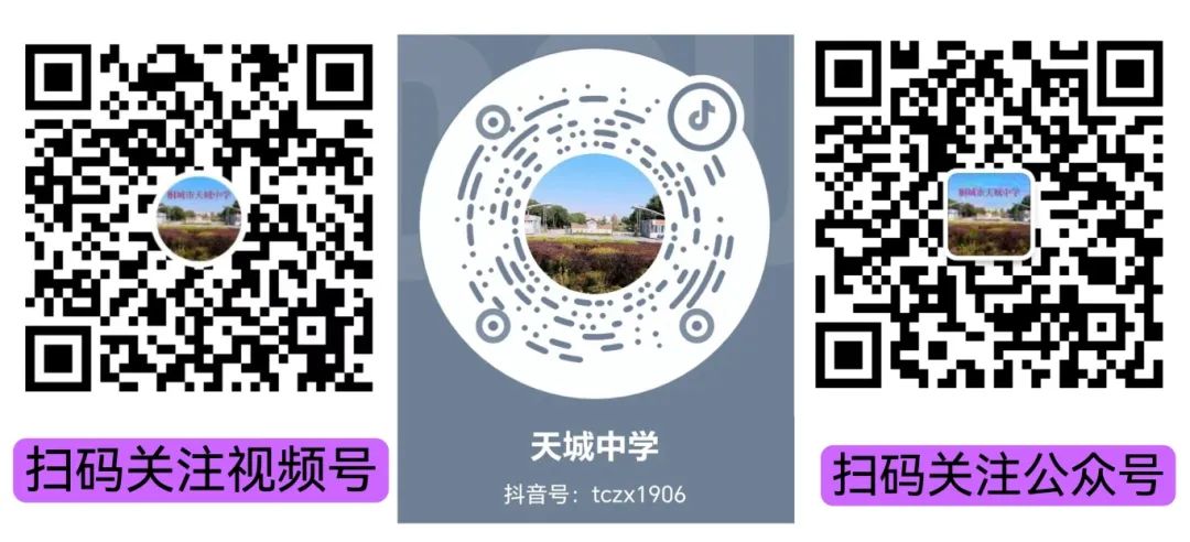 1745462021871911.jpg 6.jpg